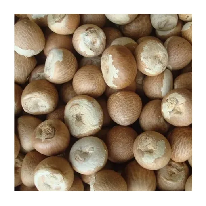Betel Nut From Indonesia Brown Color Dried Best Selling 100 % Natural High Quality Premium Grade Of Betel Nut Supply