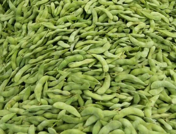 
frozen green soybean 