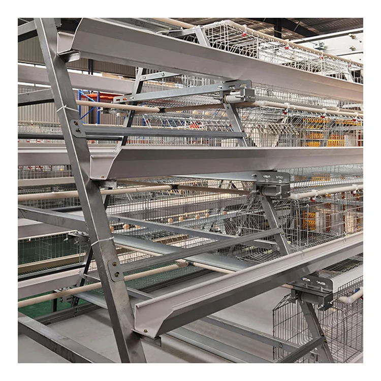 100000 Automatic H Type Laying Hens Galvanize Wire Chicken Layer Cage Poultry Farming