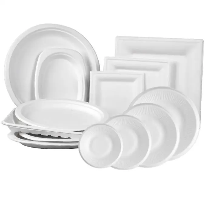 6 7 8 9 10 Inch Sugarcane Bagasse Pulp Compostable Biodegradable Disposable Sugar Cane Natural White Round Paper Plates