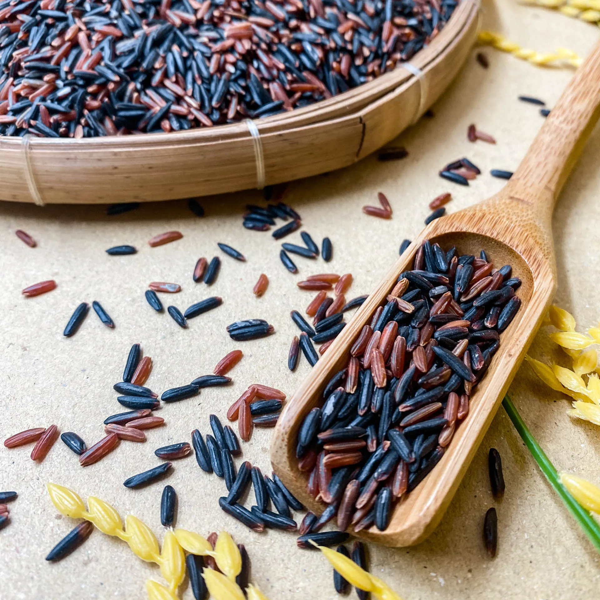 Vietnam Producing Red Brown Hoa Lua Rice Gao Lut BROWN Rice Kind Hard Texture Crop Year Long-Grain Rice