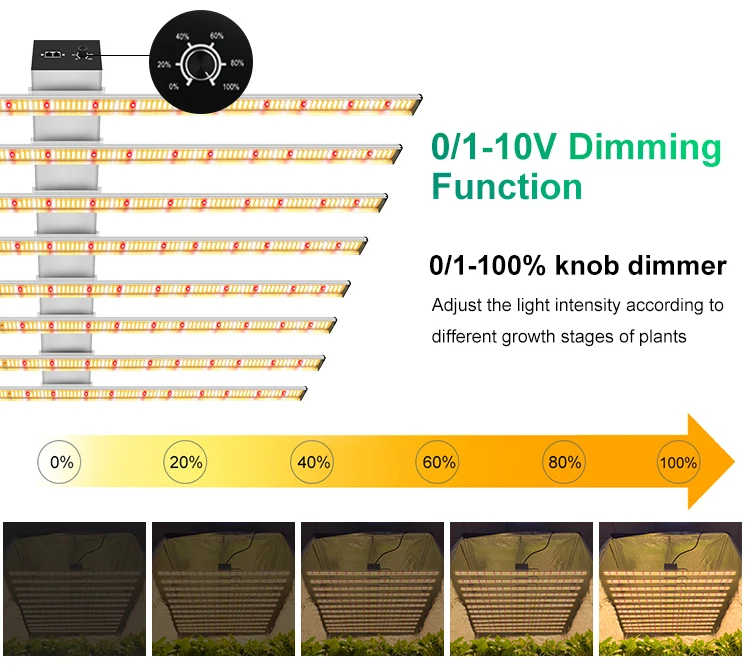 spider grow light (10)