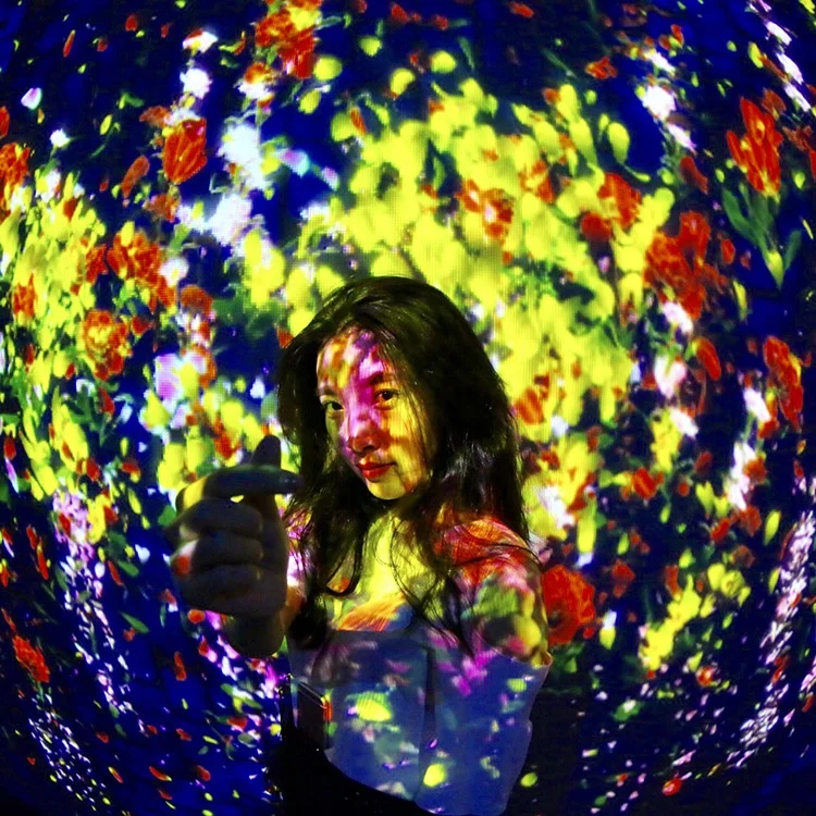 Digital Art Installation Projection Mapping Museum Exhibition immersive interactive projector Wall Projection Experience