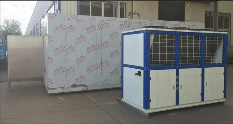 Iqf Tunnel Freezer Blast Freezers For Sale Freezing Machine Machinery For Frozen Potato Instant Freeze Machine