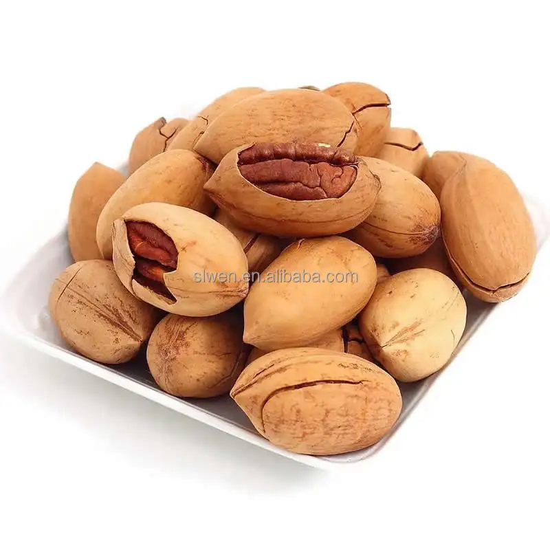 High Quality Wholesale Pecan Nuts Price Healthy Organic Roasted Pecan Nuts From China