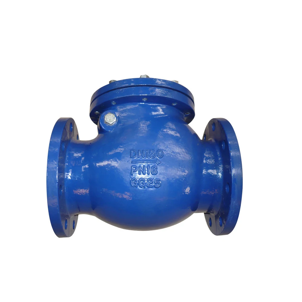 Factory Hot Selling DN80 PN16 Flanged Type Ductile Iron Swing Check Valve