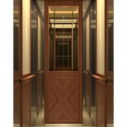 Good selling villa easy installed indoor outdoor comfortable stainless steel small home lift