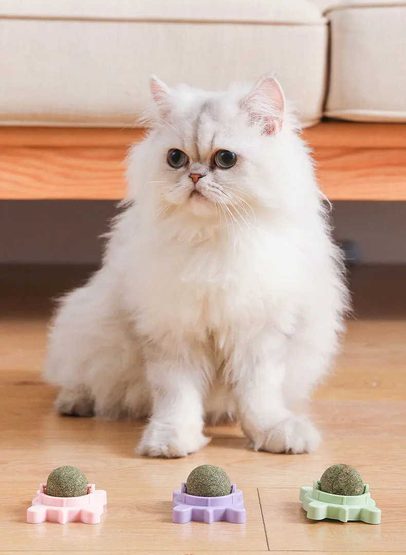 Best-selling pet catnip toy Avocado shape rotary detachable catnip cat interactive chew tooth cleaning toy for cat