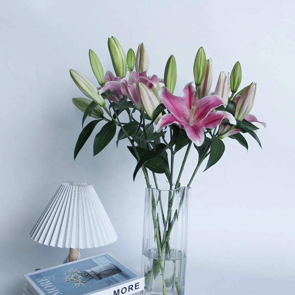 Made in China Wholesales Decorative Fresh Cut Floral Unique Bouquet Lilies Black Beauty Lily Buddhist Worship for Wedding Gift