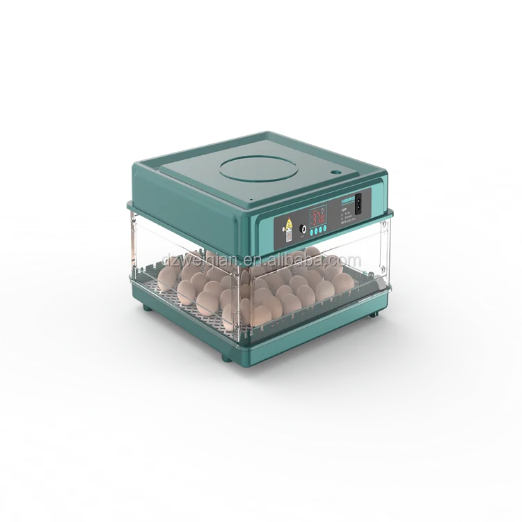 quail farming Good Quality Full Automatic Mini 70Eggs Incubator For Chicken,Quail,Duck Eggs temperature humidity controller