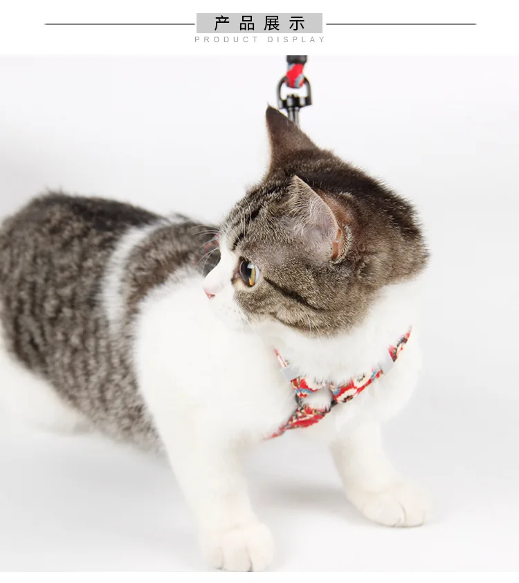 Wind bow traction chest strap h-shaped suit cat Leash And Harness