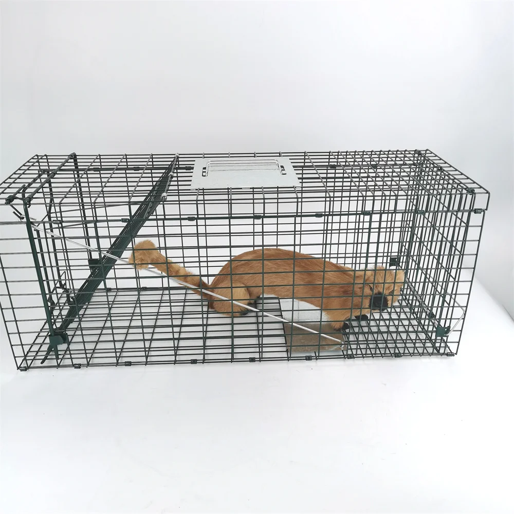 Popular Hog Pig Trap extra Large fox Trap Green Galvanizing Boar Hunting Traps