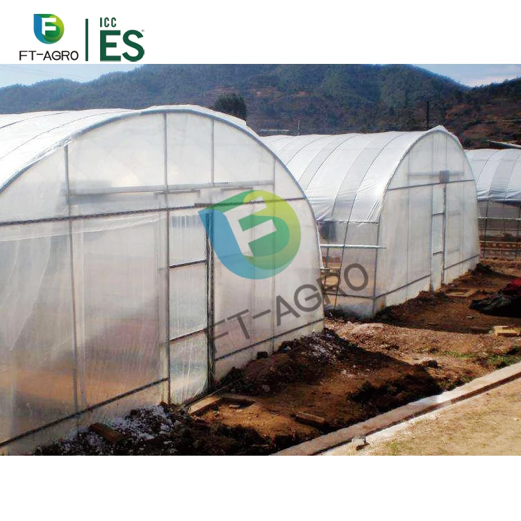 Economic hot galvanized single-span green house film vegetable greenhouse
