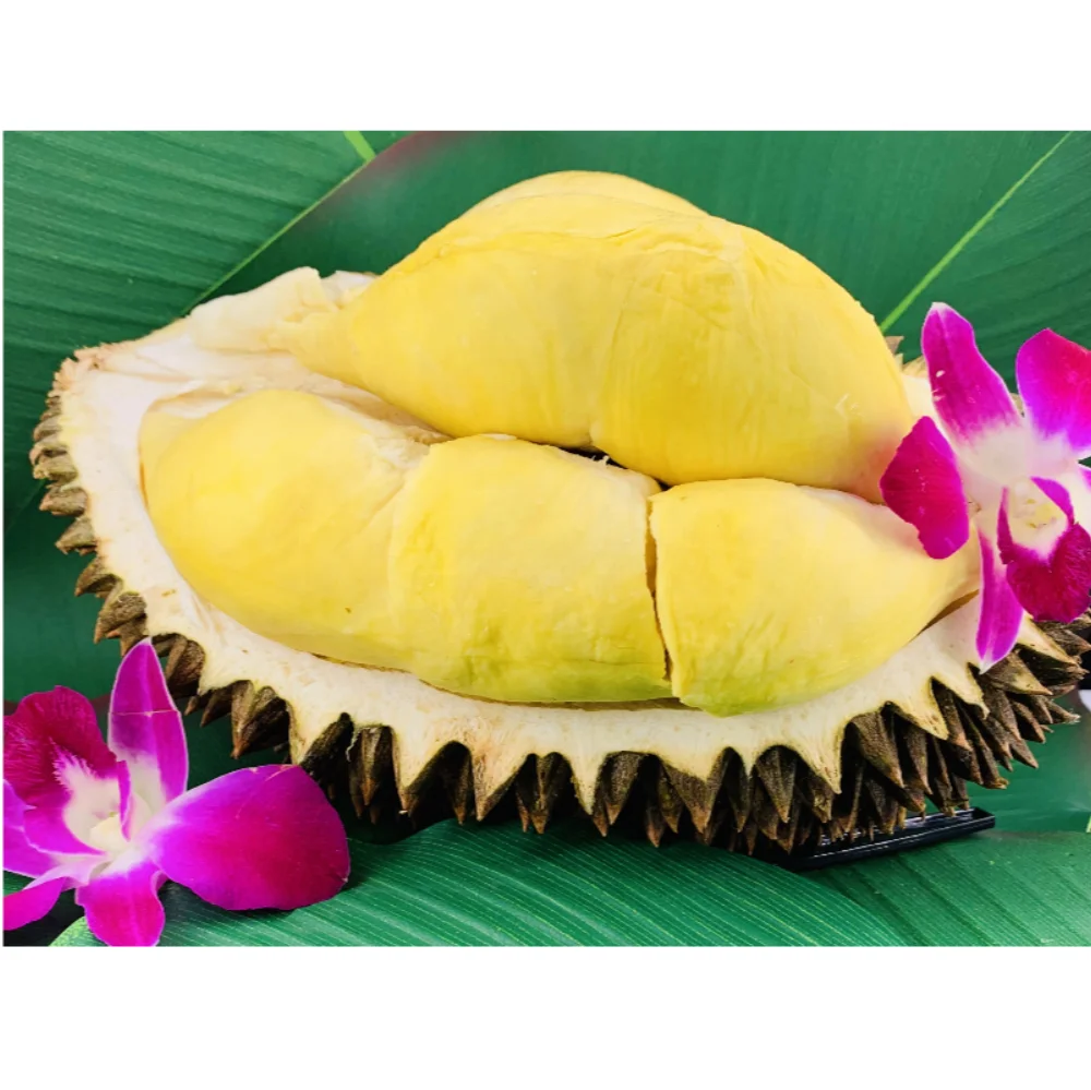 
Premium Quality Monthong from Thailand Fresh Durians 