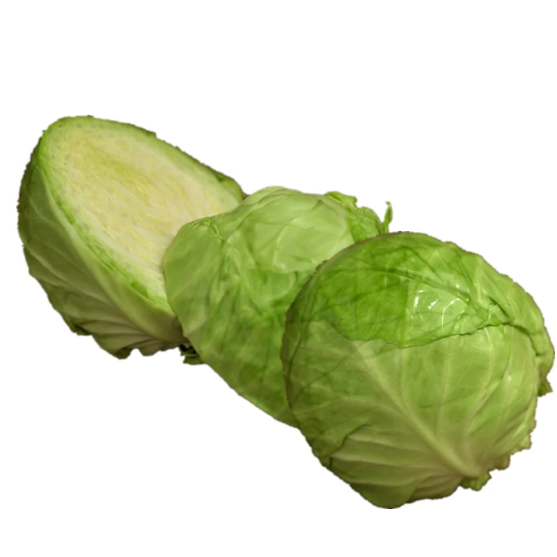 Hot Sale High Quality in Bulk Green Cabbage with HCCP Certification