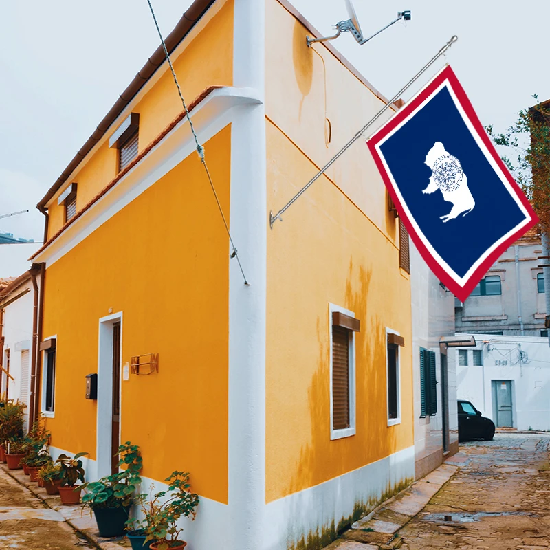 Wholesale 3x5ft Wyoming flags 68D/100D polyester Customize all nations rapid shipping Reliable supplier  fast delivery