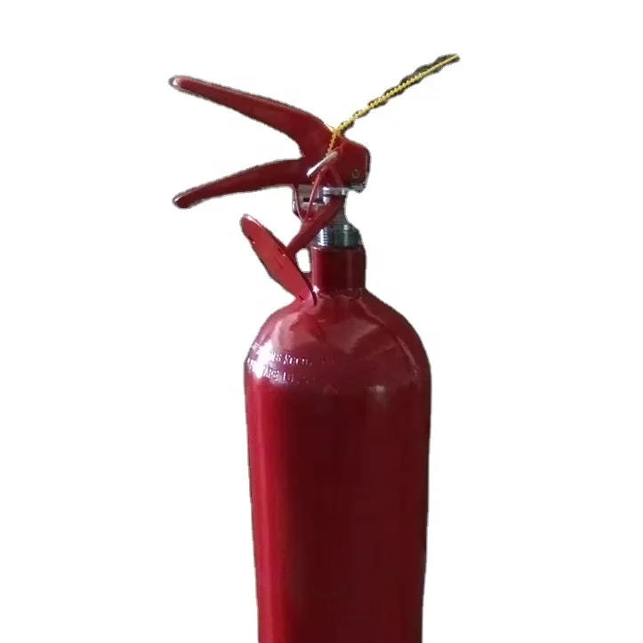 Factory Portable 1.3kg CO2 Fire Extinguisher for Car and Kitchen Use