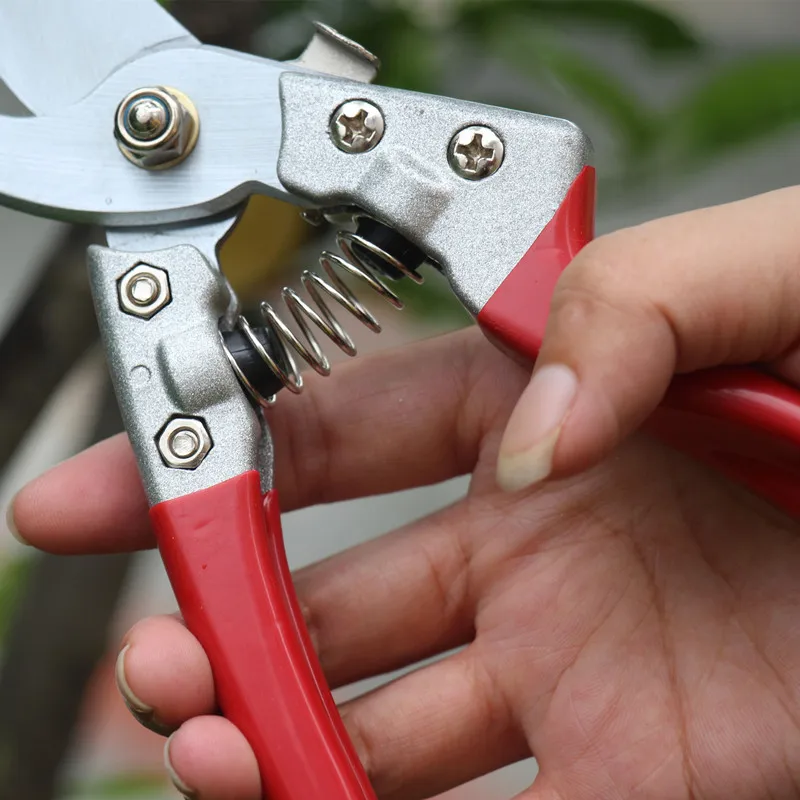 factory price professional manufacturer garden grape flower shears grape tree pruning shear pruner cutting scissors