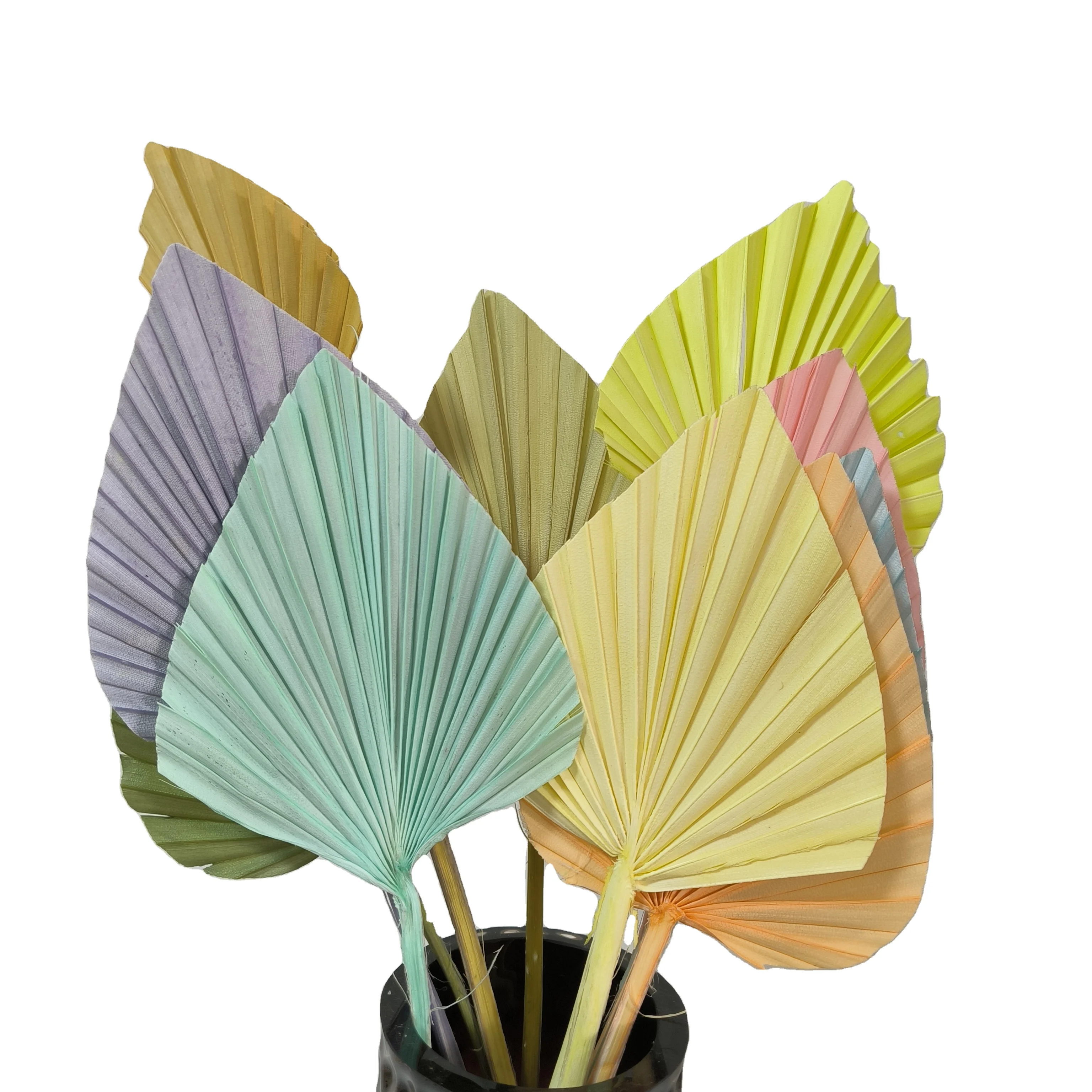 factory wholesale small real heart shaped oval palm spear colored brown blue black dry palm leaf dried palm leaves for decor