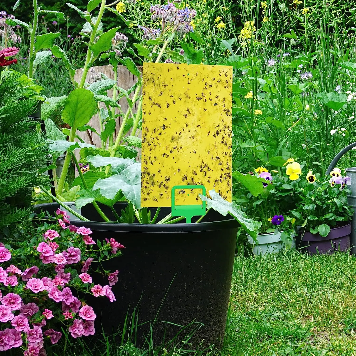 Dual-Sided Yellow Sticky Gnats Glue Paper Board Flying Insect Traps for Whiteflies Aphids Outdoor