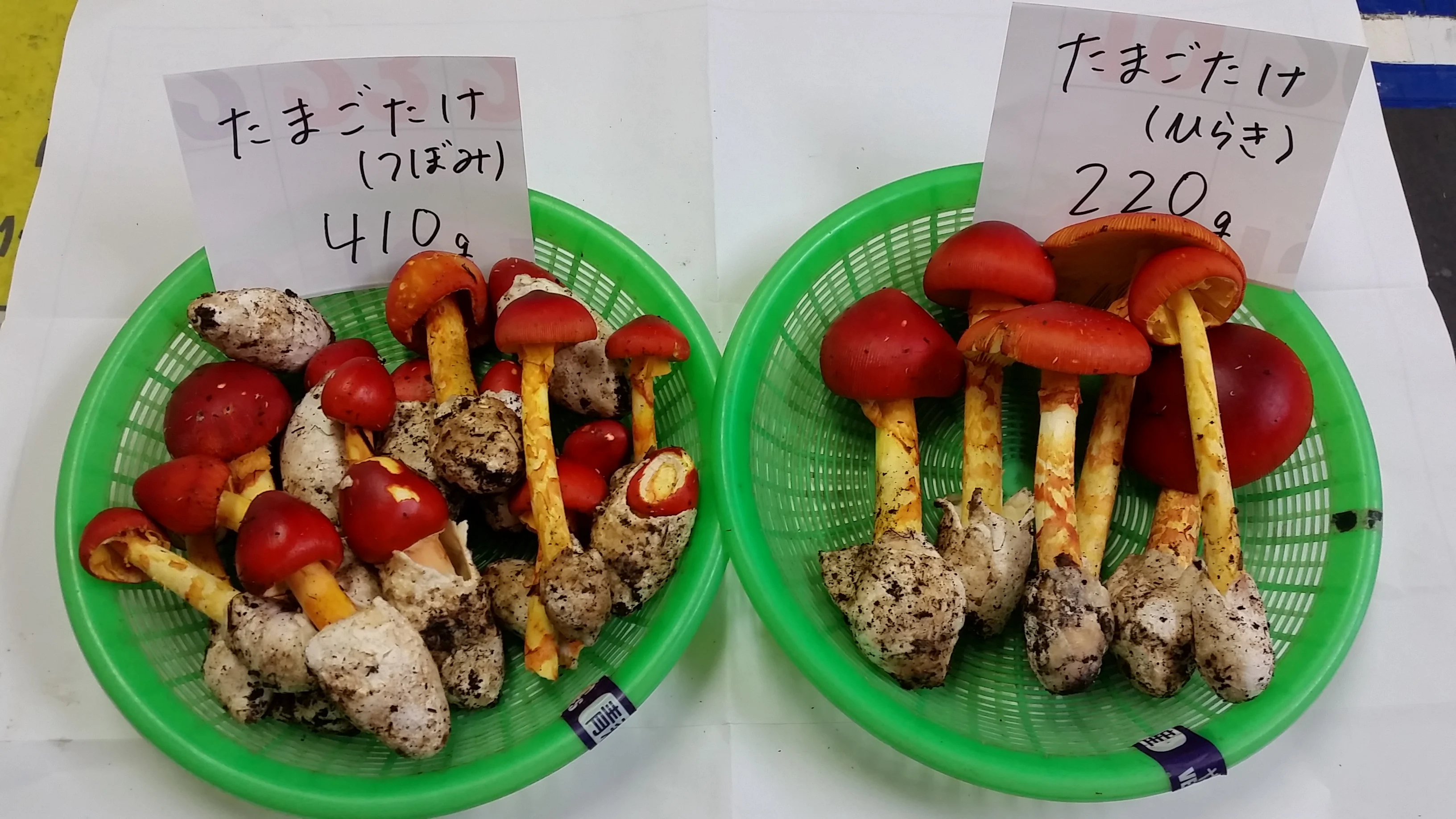 High Quality Frozen Matsutake Mushroom At A Much More Reasonable Price