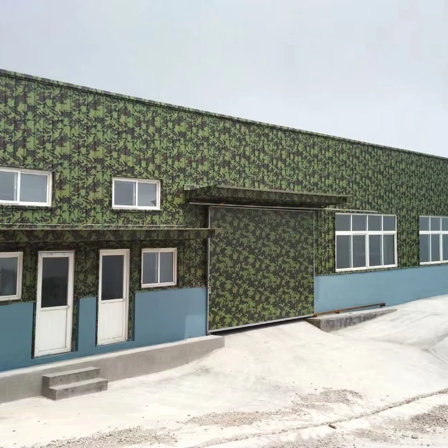 CZ-CHINA-China Low-Cost Steel Frame House Structure Modern Metal Building Materials for Workshop Office Storage Warehouse Construction