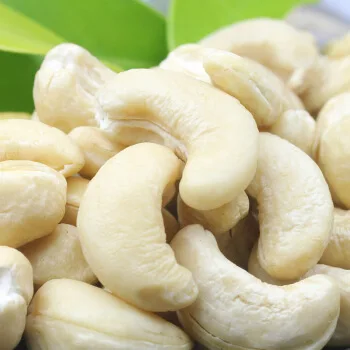 Wholesale Cheap Price Cashew Nut Exporter