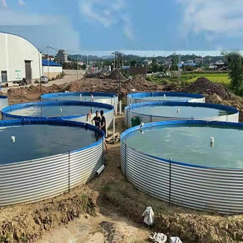 Latest hot sale styles  High Density  Aquaculture Tilapia & Shrimp Ras System Galvanized Steel Aquaculture Ponds