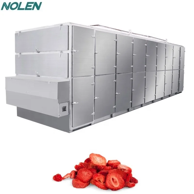 
High Output Tunnel Mesh Belt Dryer Fruit Vegetable Dehydrator Drying Machine 