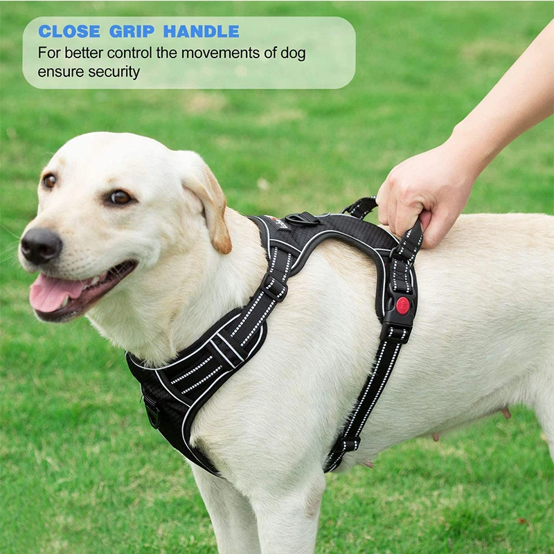 No Pull Dog Harness Adjustable Reflective Easy Control Dog Harness Leash Set