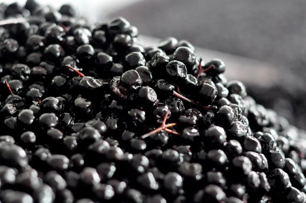 Красное милое вино Aronia