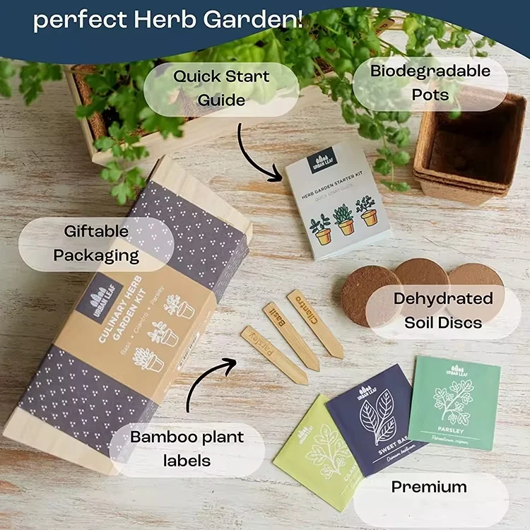 2023  growing sprouting jar starter pot ear flower  grow kit nesting fruits scooper avocado  remover