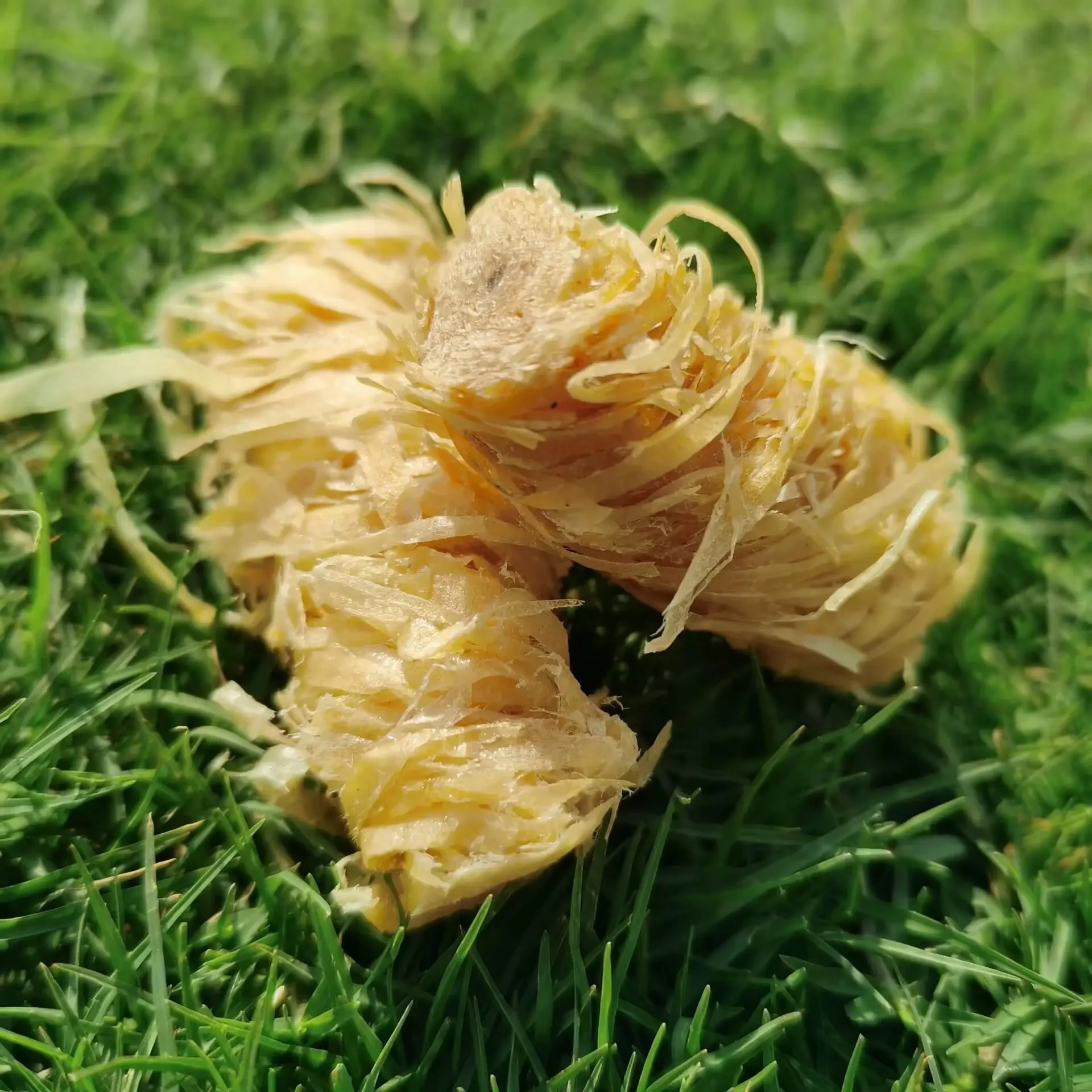 Hot Selling Natural Wood Solid Fuel Waxed Ignition Bbq Camping Fire Starter