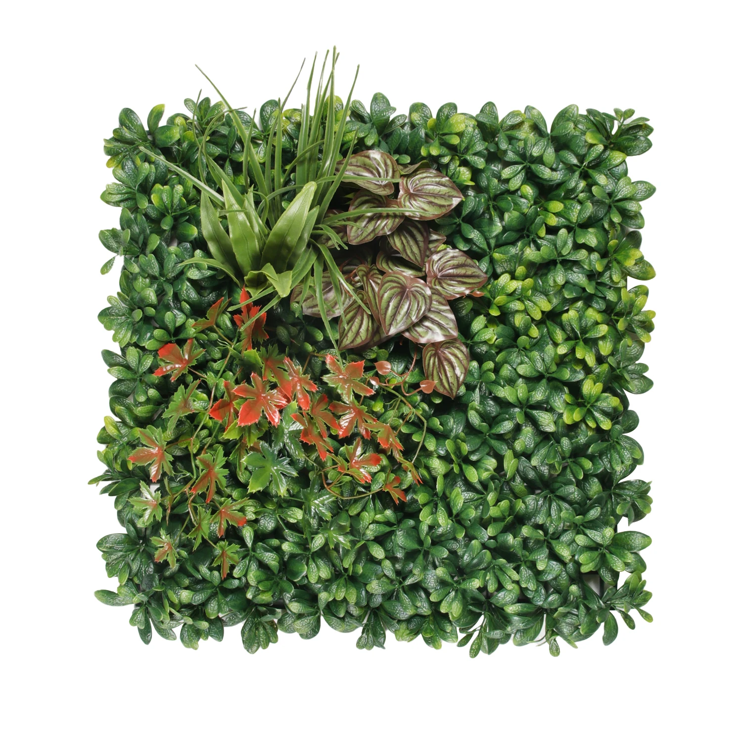 Высококачественная искусственная трава из бокса, настенные панели для вертикального садового украшения