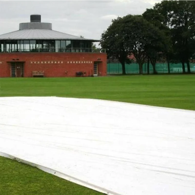 Factory Price Waterproof 100% Virgin Pe Material Colorful Blue White Pe Tarpaulin