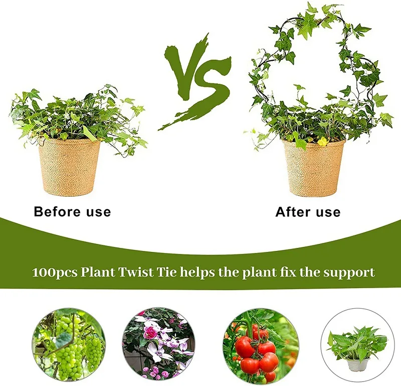 Stylish Decorative Moon Star Shaped Fixed Rod Garden Trellis For Climbing Plants Metal Plant Stand