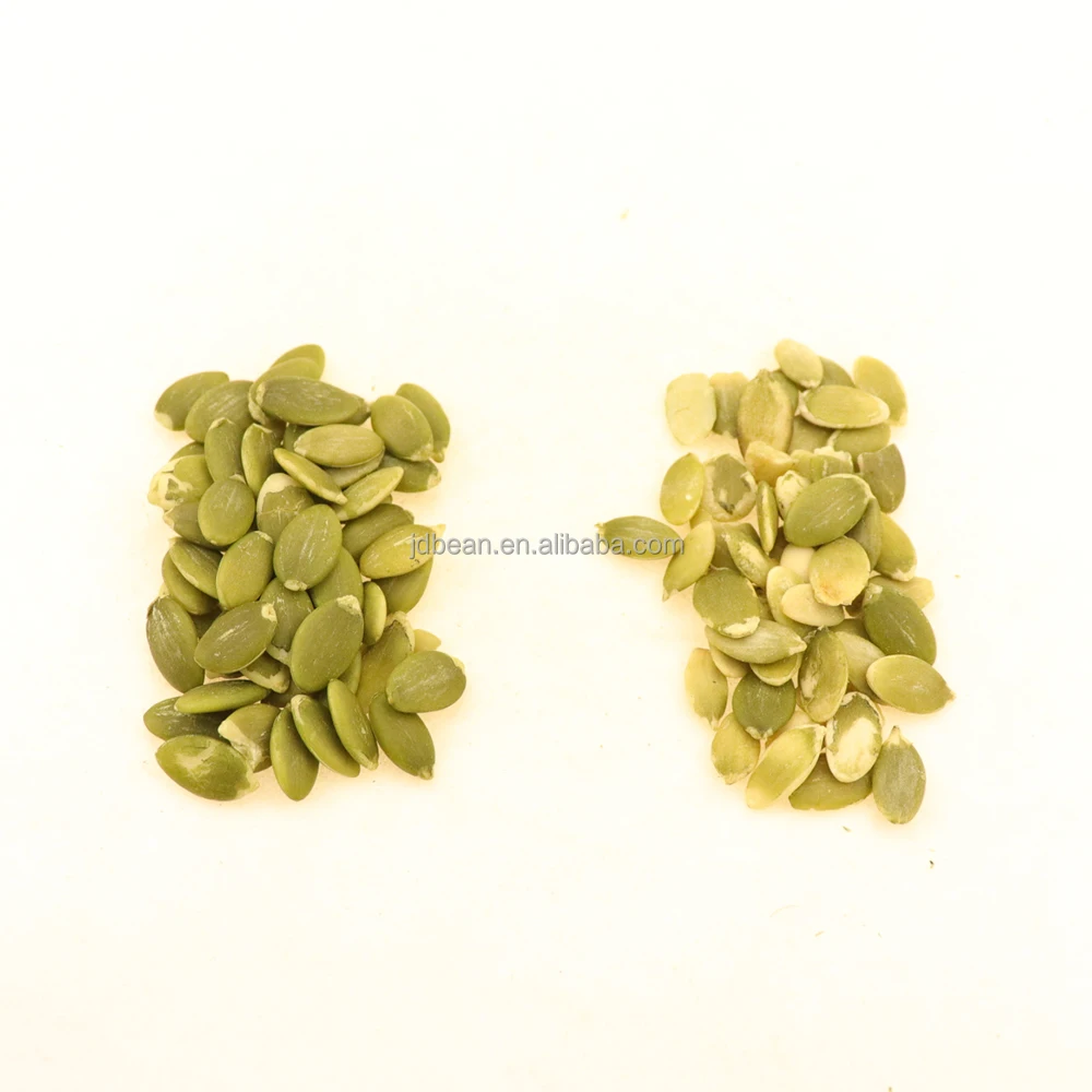 Wholesale Organic Pumpkin Seeds Grade AAA Nice Price Raw Pumpkin Seeds Kernel