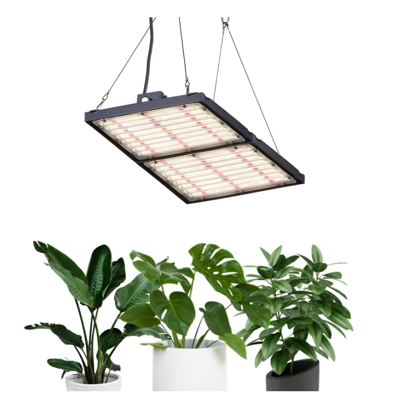 2021 Newest Design 150 480 Watt Quantum CE ROHS For Vertical Farming Horticulture