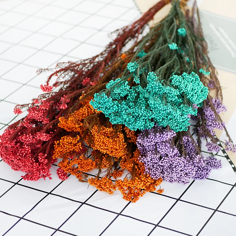 Millet Flower Home Floral Decoration Factory Supply Decorative Dried Flowers Broom Bloom Colorful Preserved Rice Flower
