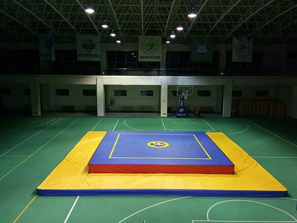 Свернутый спортивный тхэквондо боевой пазл пенный раскладной напольный коврик MMA bjj напольный татами для борьбы коврик