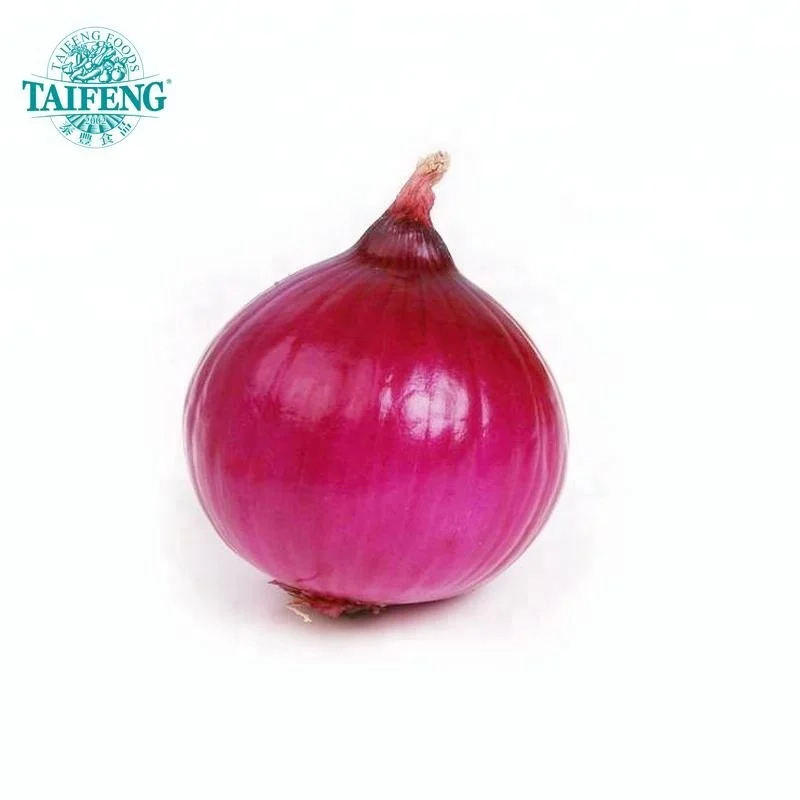 China fresh exporters prices ton red onion for onion importers wholesale