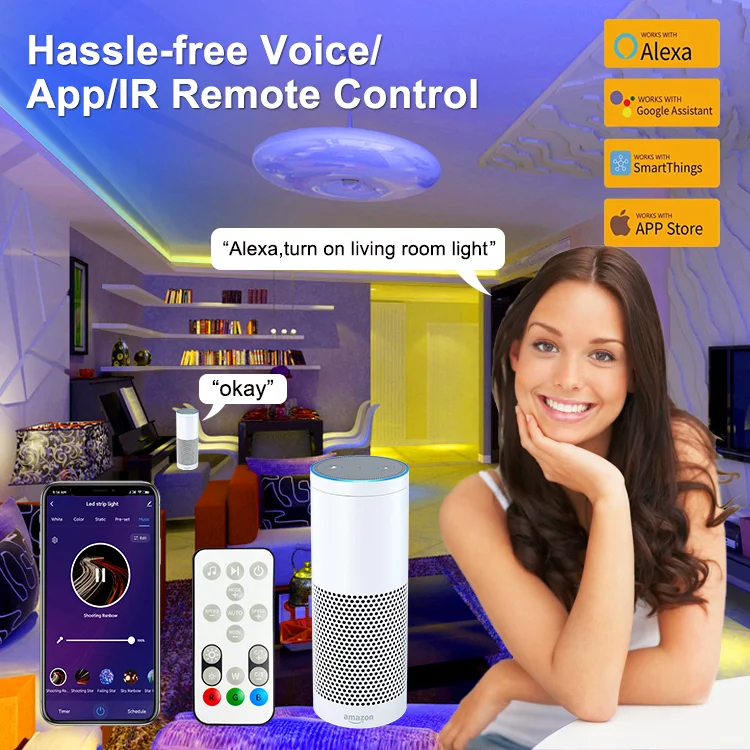 High Quality Decorations For Home Wifi LED Strip Street Rope Lights Light Flexible Strips