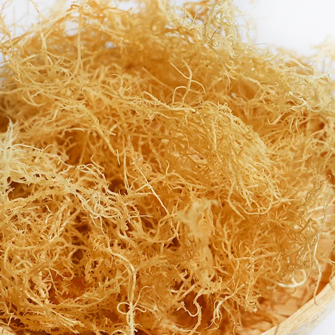High Quality Edible Sea Moss Dried Chondrus Crispus Dried Irish Moss