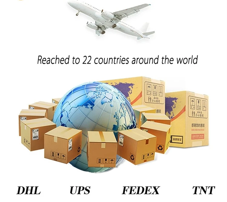 Reliable Dropshipping Agent For Shopify Seller Alibab 1688 Agent Dropshipping with Free Warehouse Order Fulfillment Services