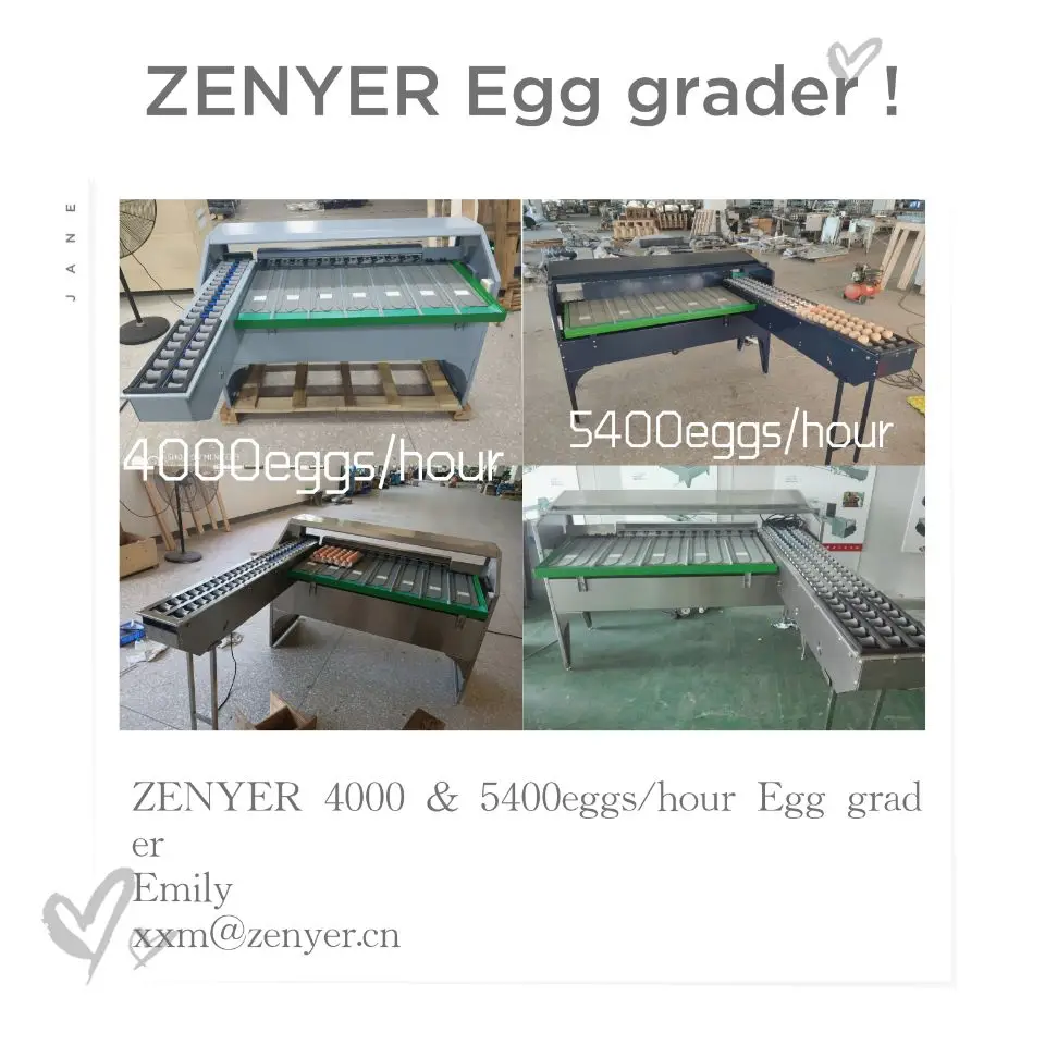5 or 7 levels automatic egg sorter processing machine for sale