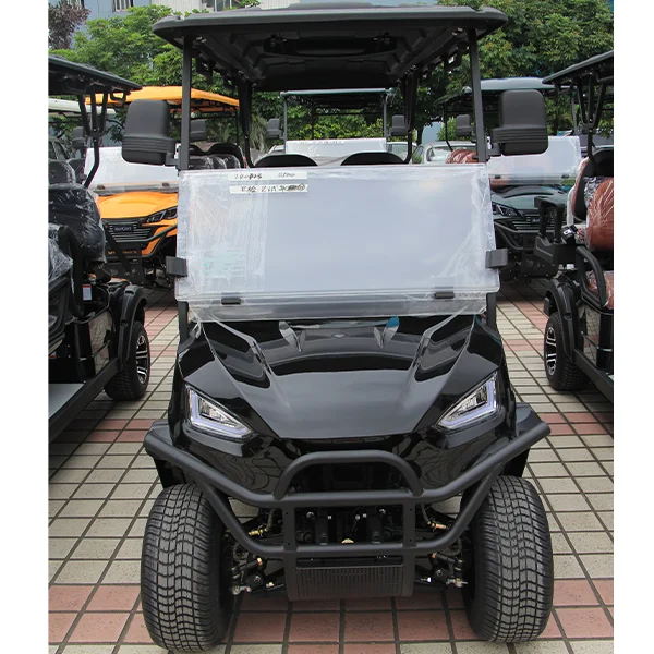 Electric off road Golf Cart Club Car with Lithium Battery Low Price 2 Seat New Energy Car for Sale 48v72v golf cart