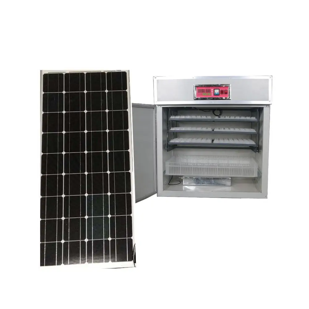 
hatching 528 bird egg incubator with complete solar system 