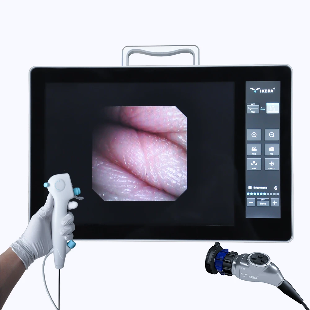 Cystoscope Flexible and Rigid Video Processor IKEDA 9685H