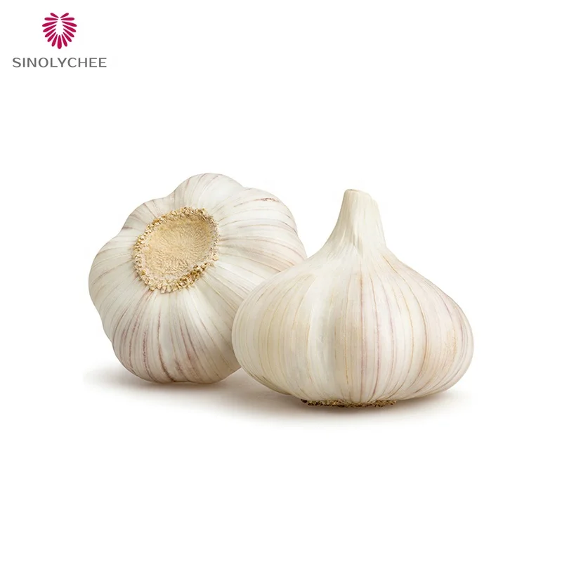 Wholesale China Exports pure white garlic Naturally Grown Garlic Fresh Garlic In Bulk