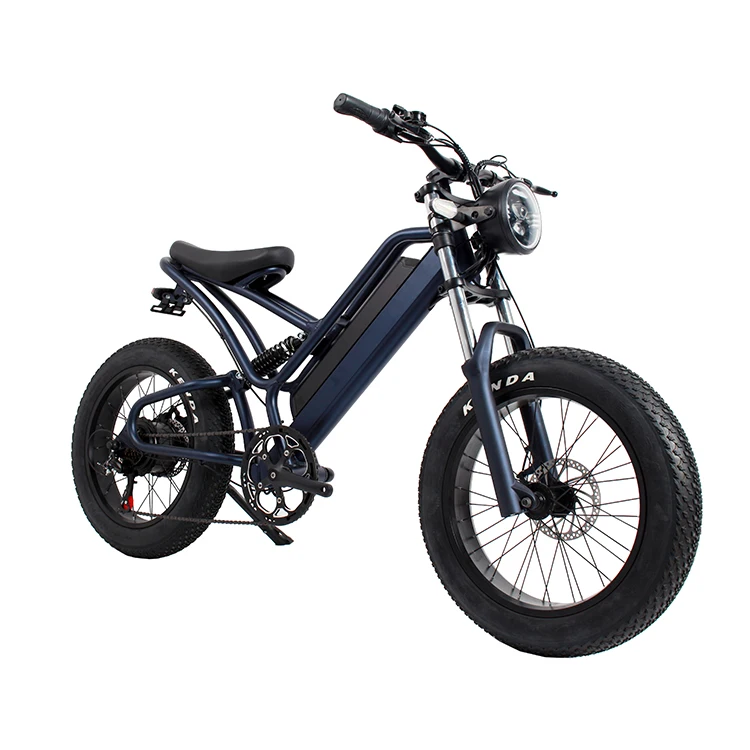 passenger 2 wheel electric fat tired cargo   .Front&Rear suspension  electric cargo bike ,factory electric ebike ,electric cycle